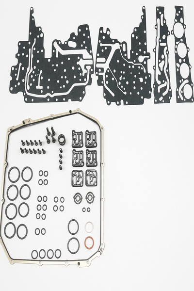 DL501 0B5 | Dichtungssatz für Mechatronik