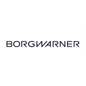 BorgWarner 202153 Doppelkupplungsmodul für DQ250 (02E) Version P