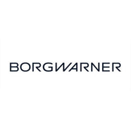 BorgWarner 202153 Doppelkupplungsmodul für DQ250 (02E) Version P