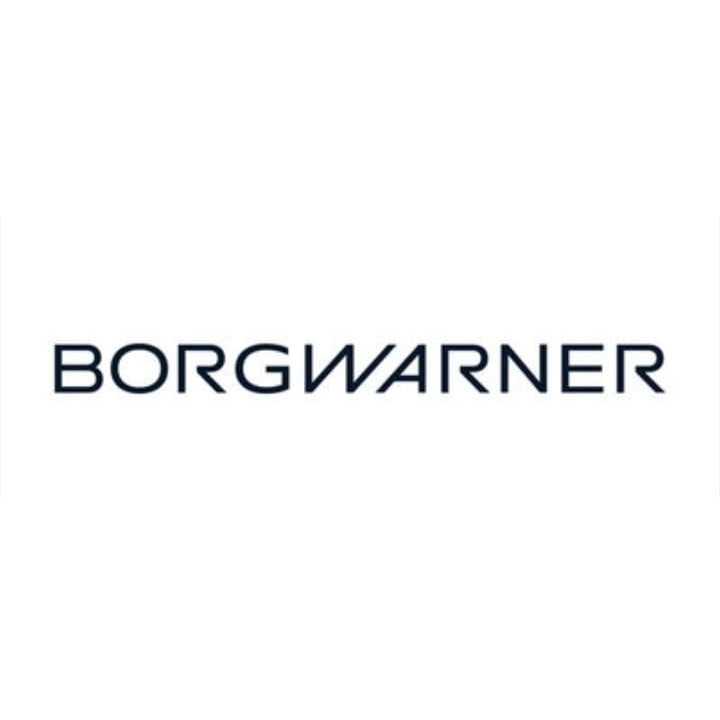 BorgWarner 202156 Doppelkupplungsmodul für DL501 (0B5) Version G