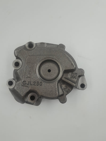 DQ250 Ölpumpe 02E315105 Altteil